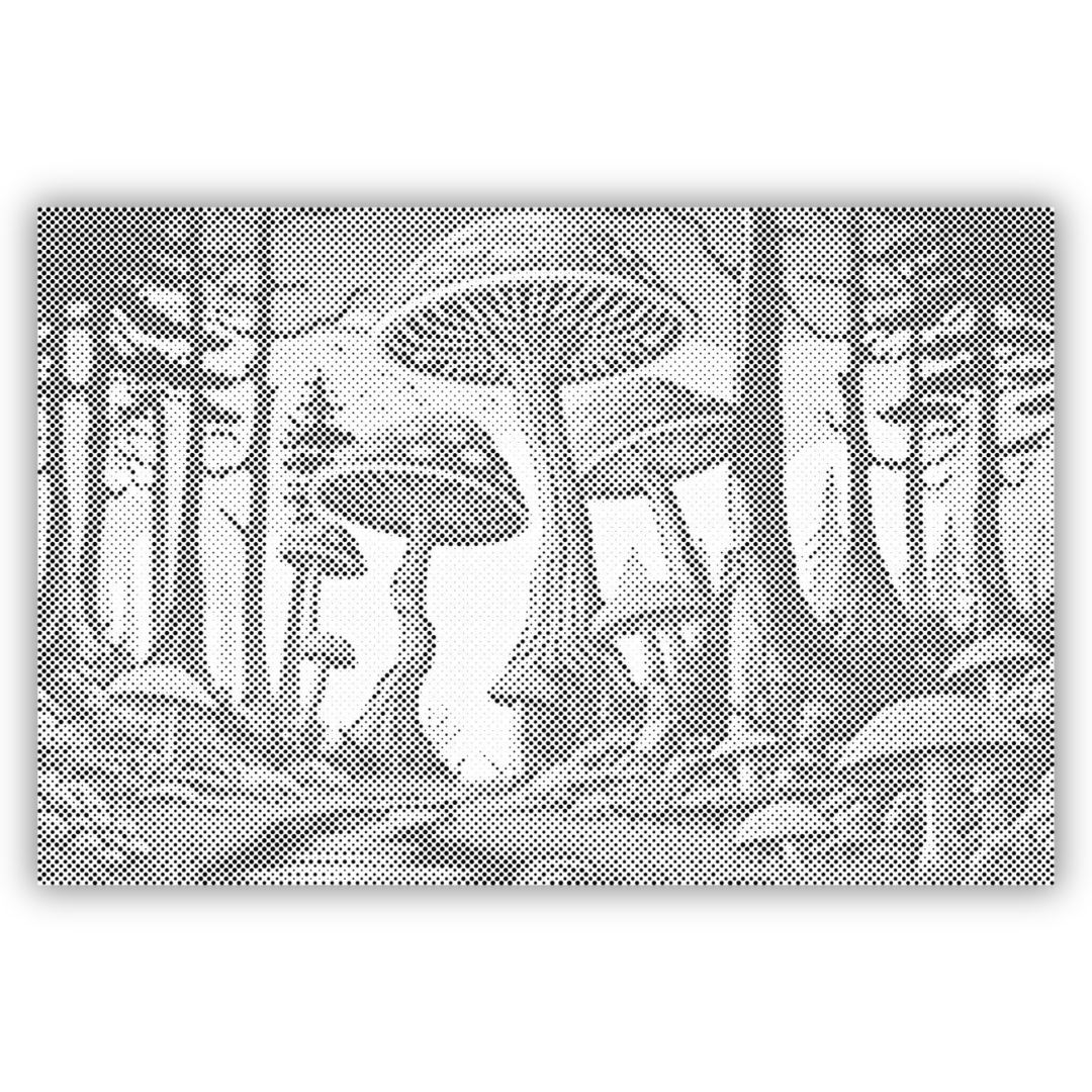 Natur und Landschaften Dot Painting Sets. Berge, Meer, Wälder und Sonnenuntergänge als Punktmalerei auf Premium Leinwand