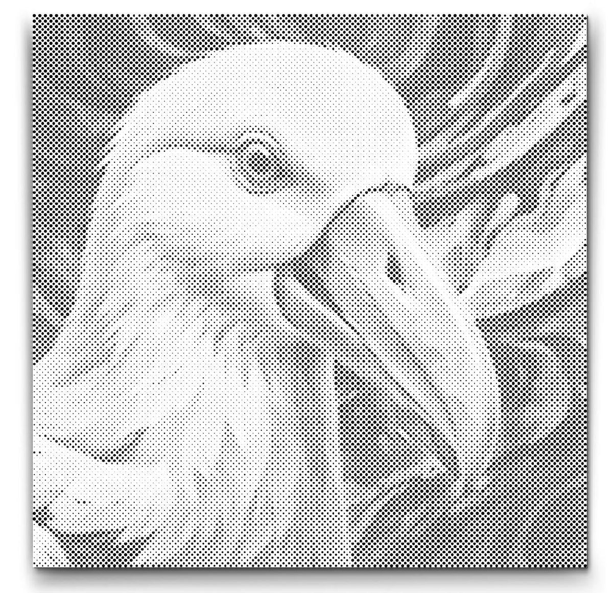 Albatross | Dot Painting Kit finished dot painting artwork