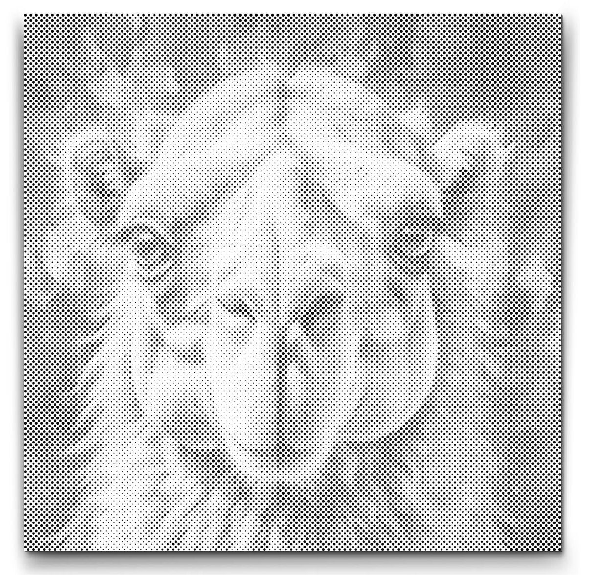 Dot Painting Kamel – Punktmalerei Tiermotiv mit orientalischem Flair